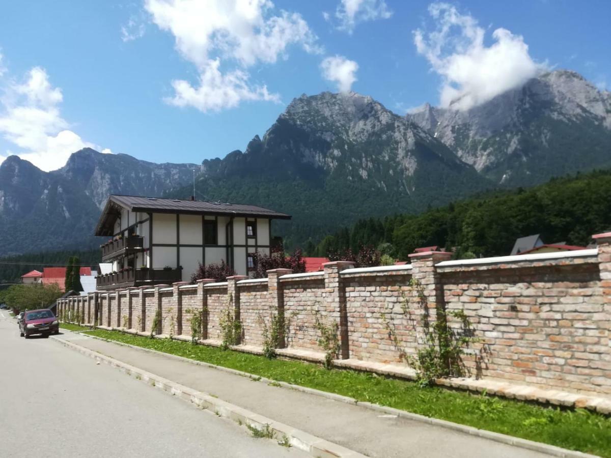 Vila Norbe Буштени Экстерьер фото
